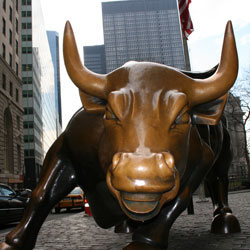 Charging Bull